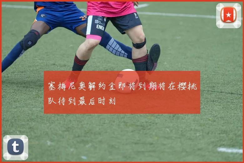 塞梅尼奥解约金即将到期将在樱桃队待到最后时刻